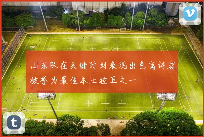 山东队在关键时刻表现出色高诗岩被誉为最佳本土控卫之一